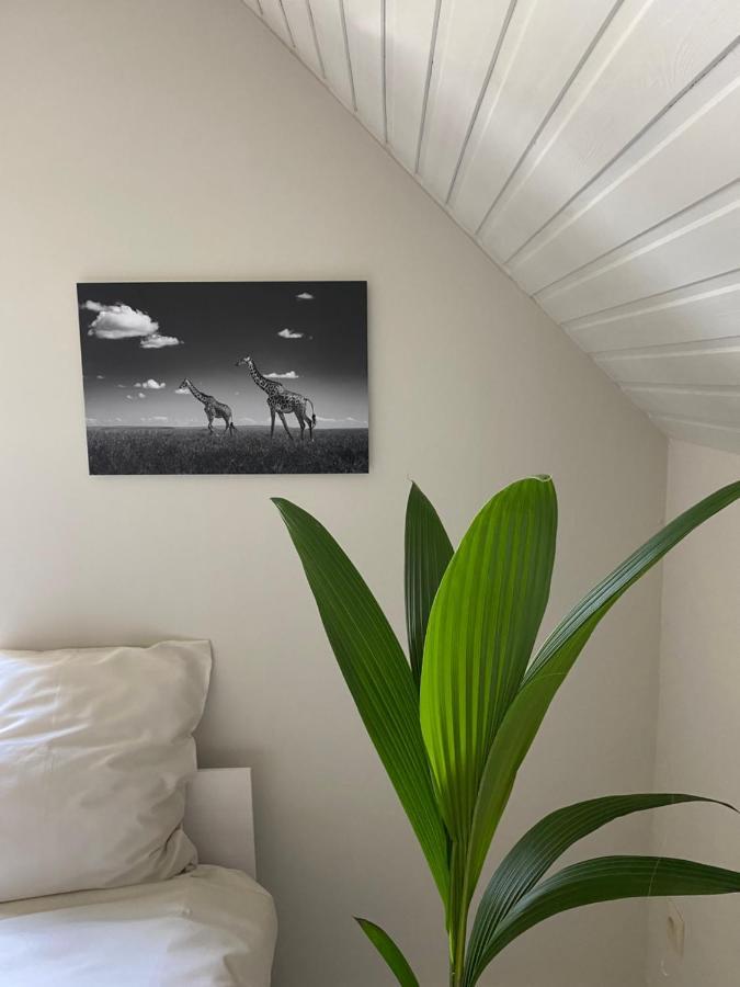 B&B Maison Blanche เกนต์ ภายนอก รูปภาพ